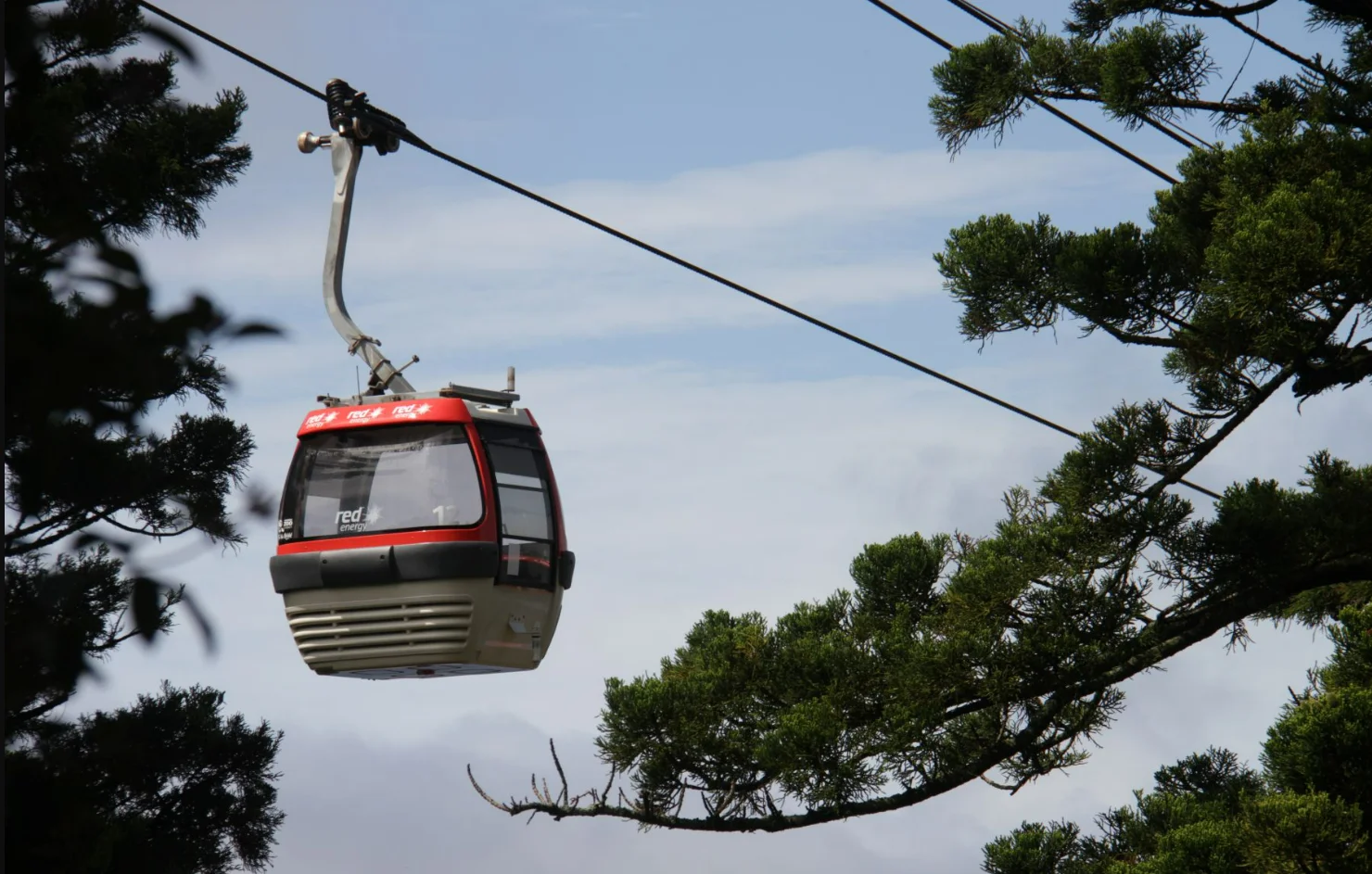Sky Safari
