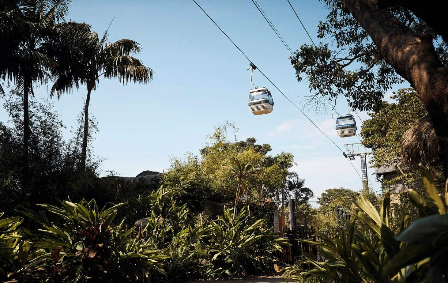  Taronga Zoo Sydney
