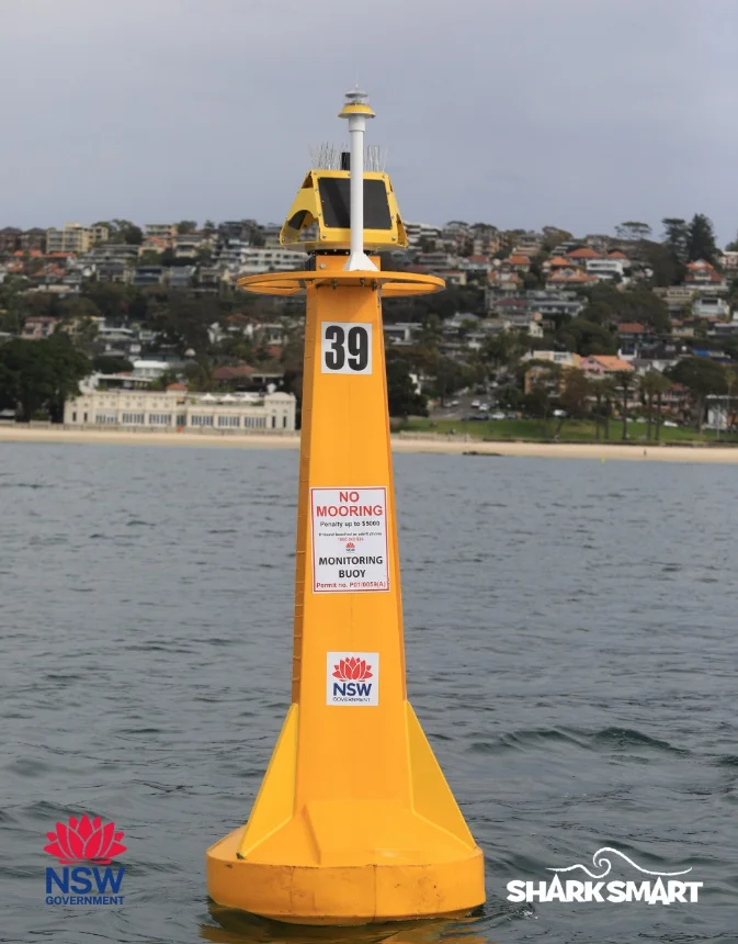 shark monitoring